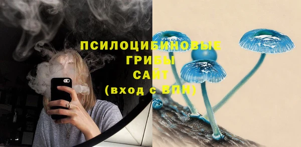 дживик Нягань