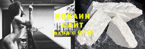 шишки Беломорск