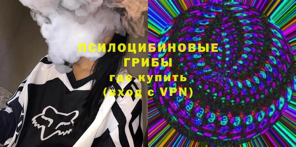 бошки Белокуриха