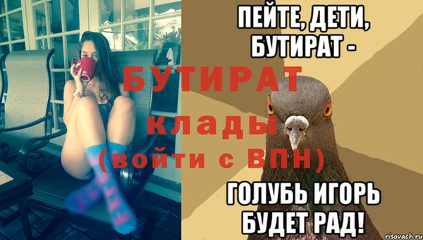 шишки Беломорск