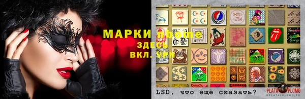 бошки Белокуриха