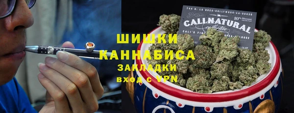 шишки Беломорск