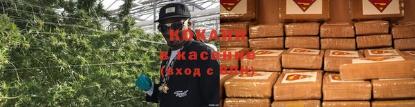 каннабис Осташков
