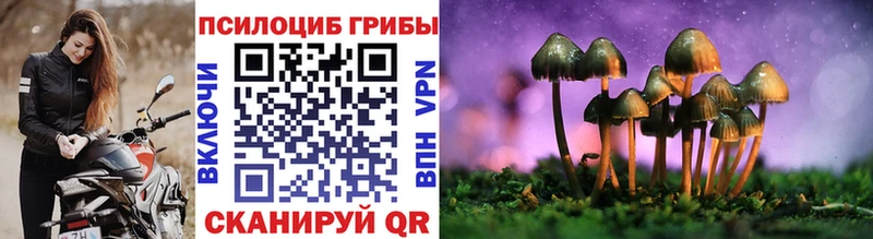 MEGA   Бодайбо  Галлюциногенные грибы Psilocybine cubensis  купить наркоту 