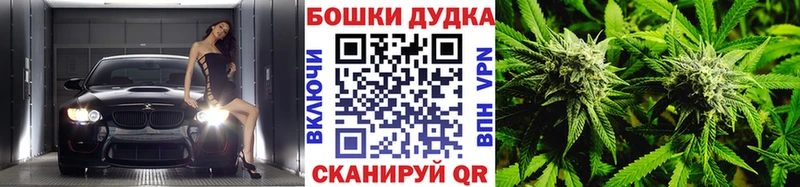 хочу   Бодайбо  darknet формула  МАРИХУАНА тримм 